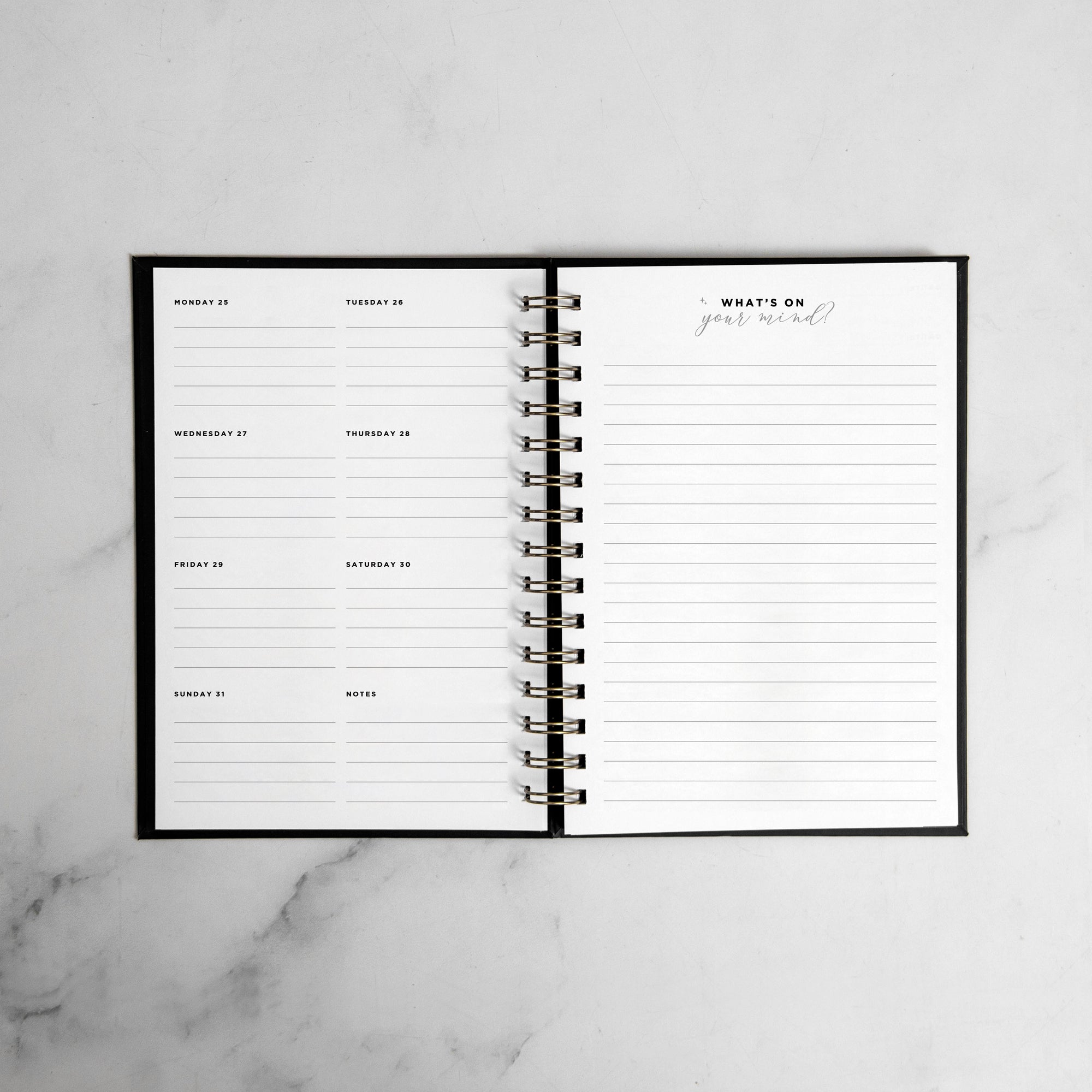 Jungle Pop Weekly Planner