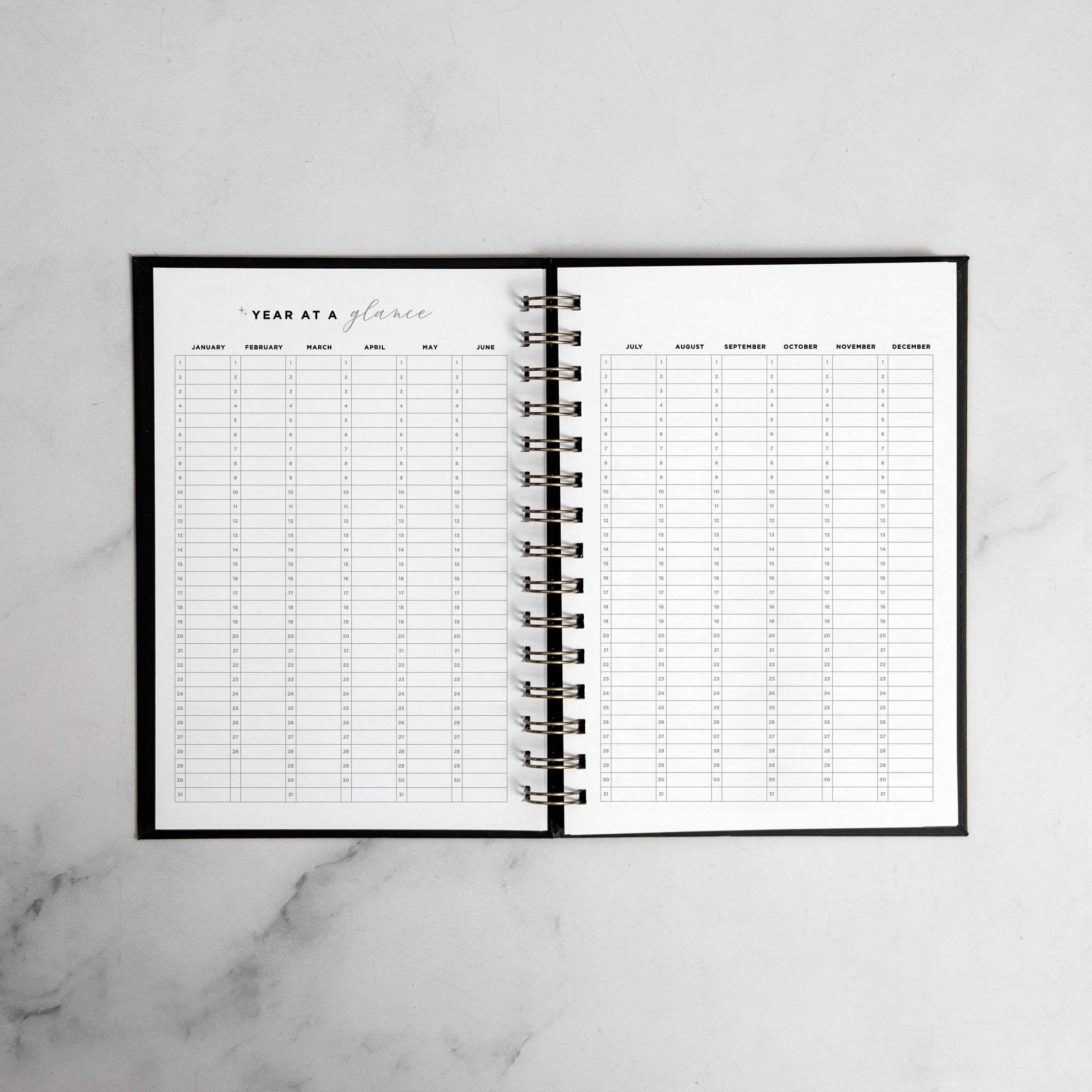 Jungle Pop Weekly Planner