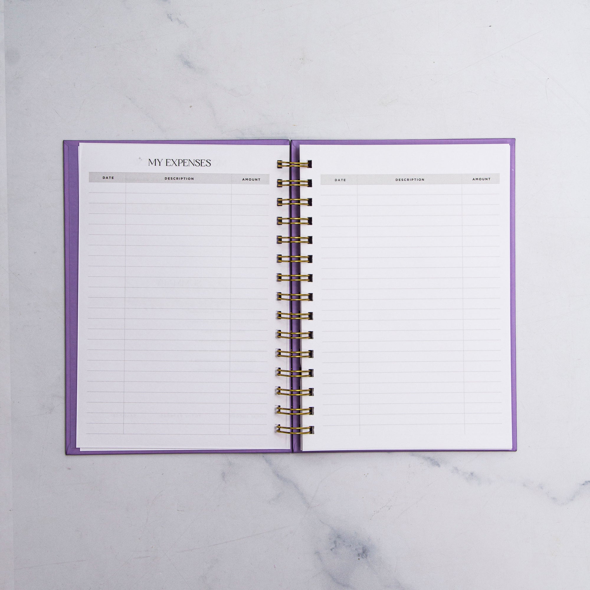Any Name Foil Budget Planner