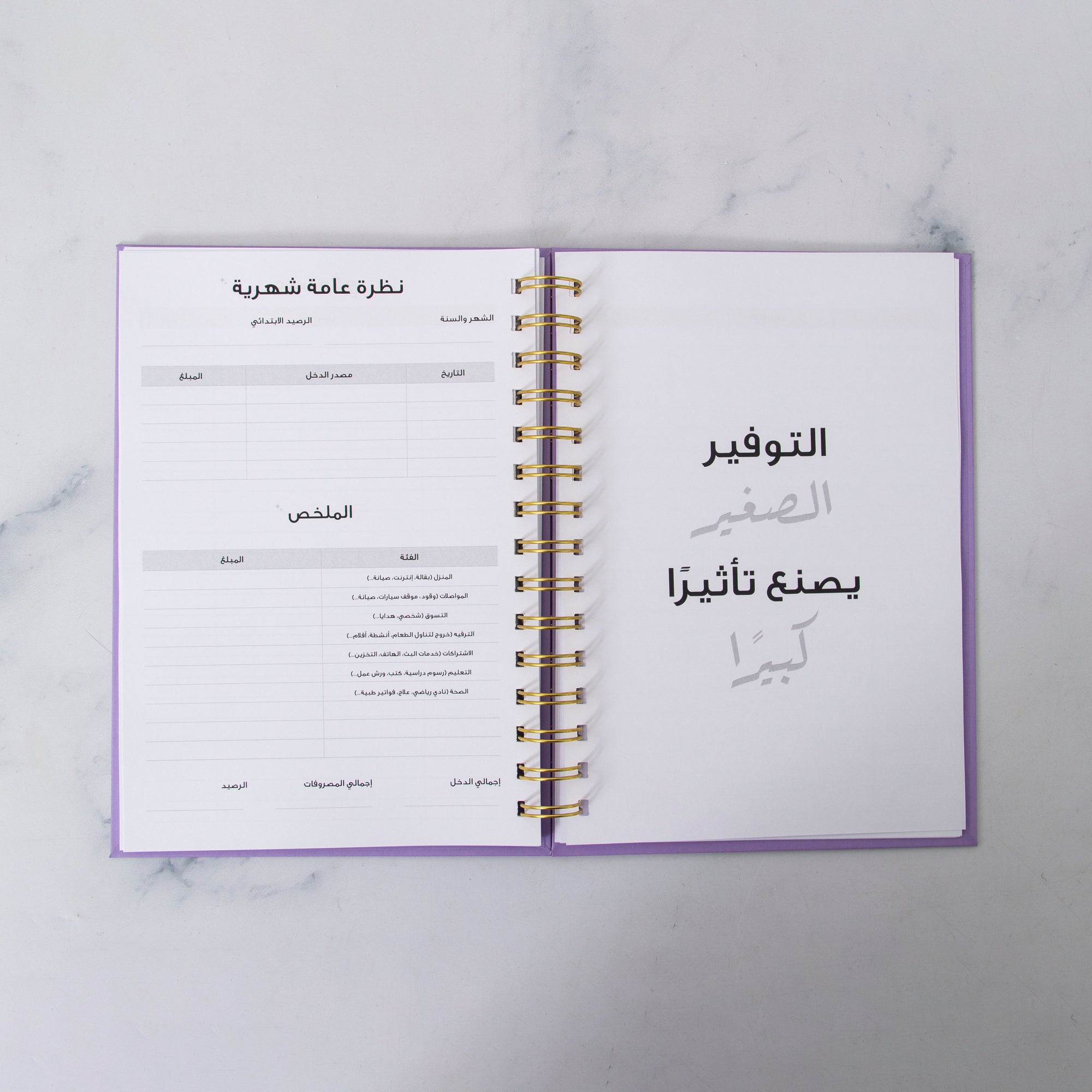 مخطط مصاريف