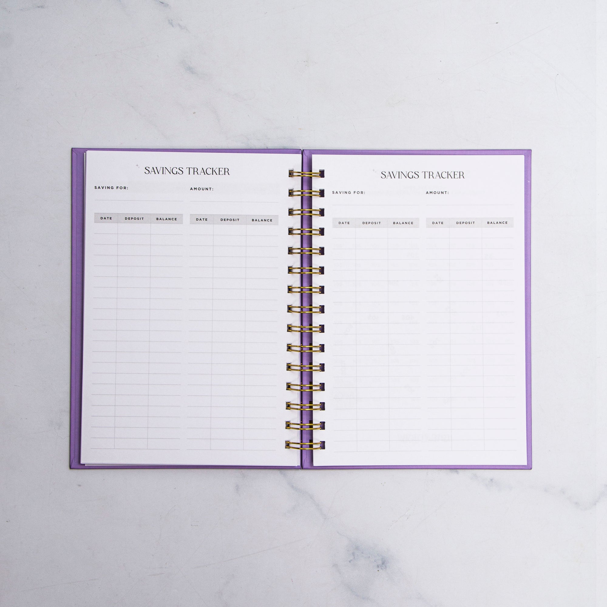 Any Name Foil Budget Planner